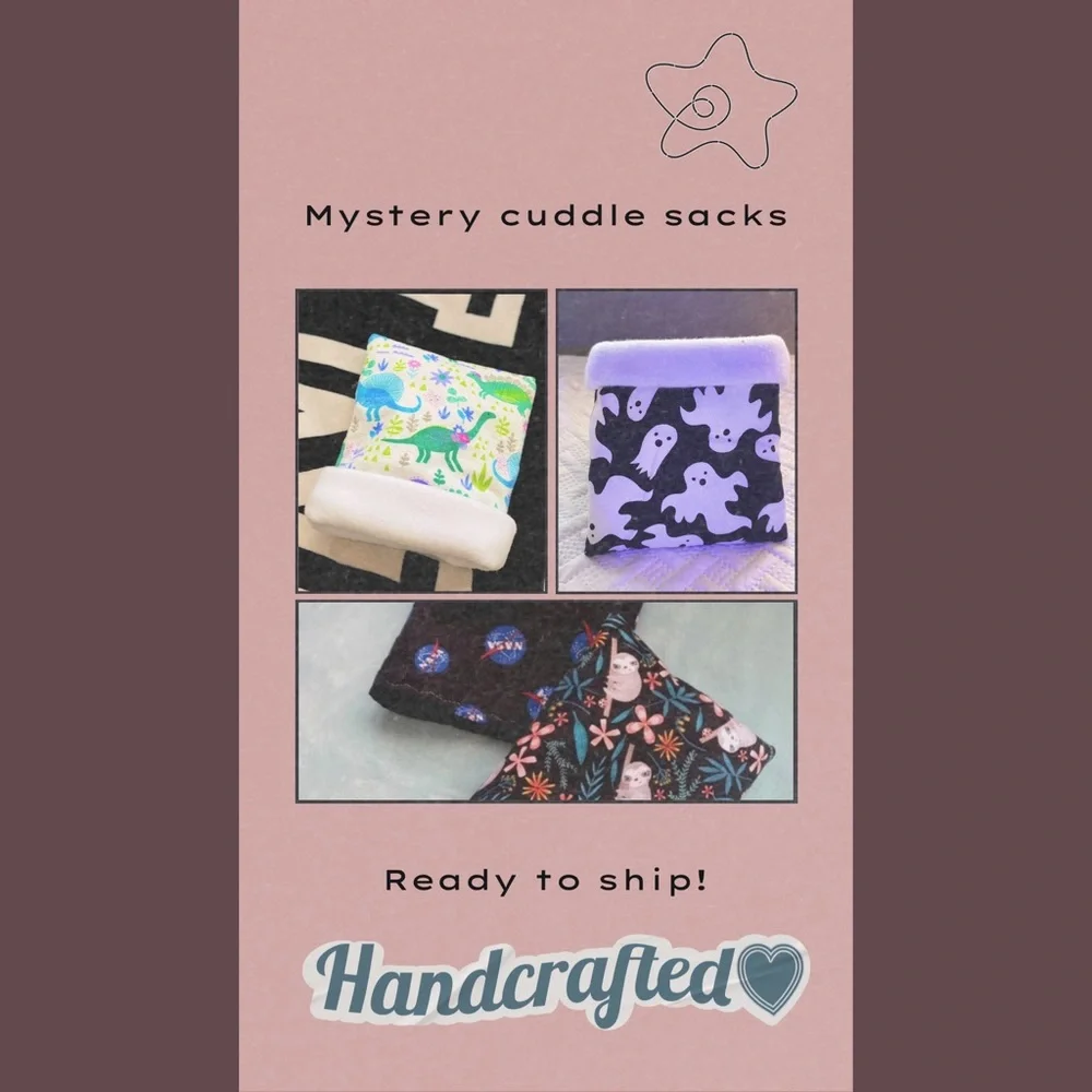 Pet guinea pig hedgehog mystery cuddle sack